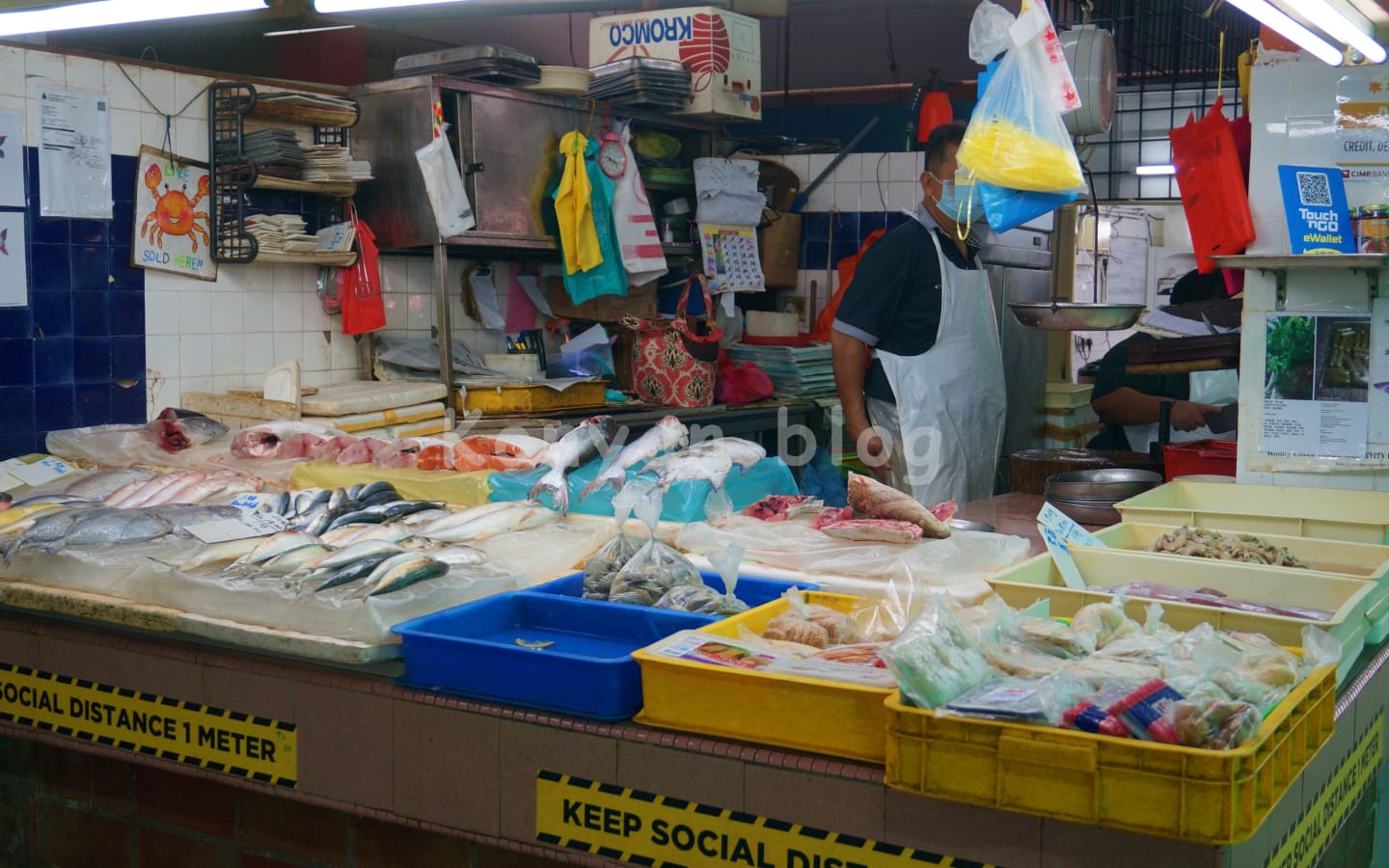 TTDI wet market 魚　マグロ　サーモン