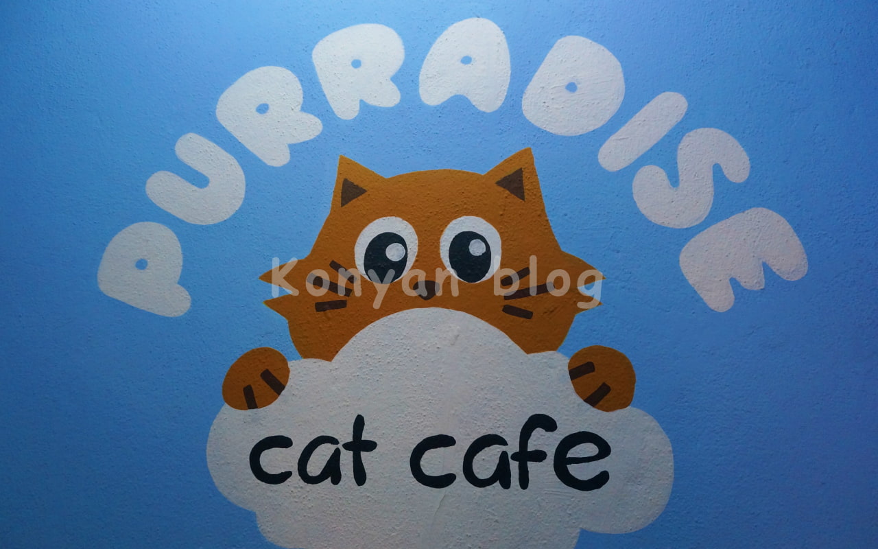 Purradise cafe マレーシア 猫カフェ パラダイス・カフェ