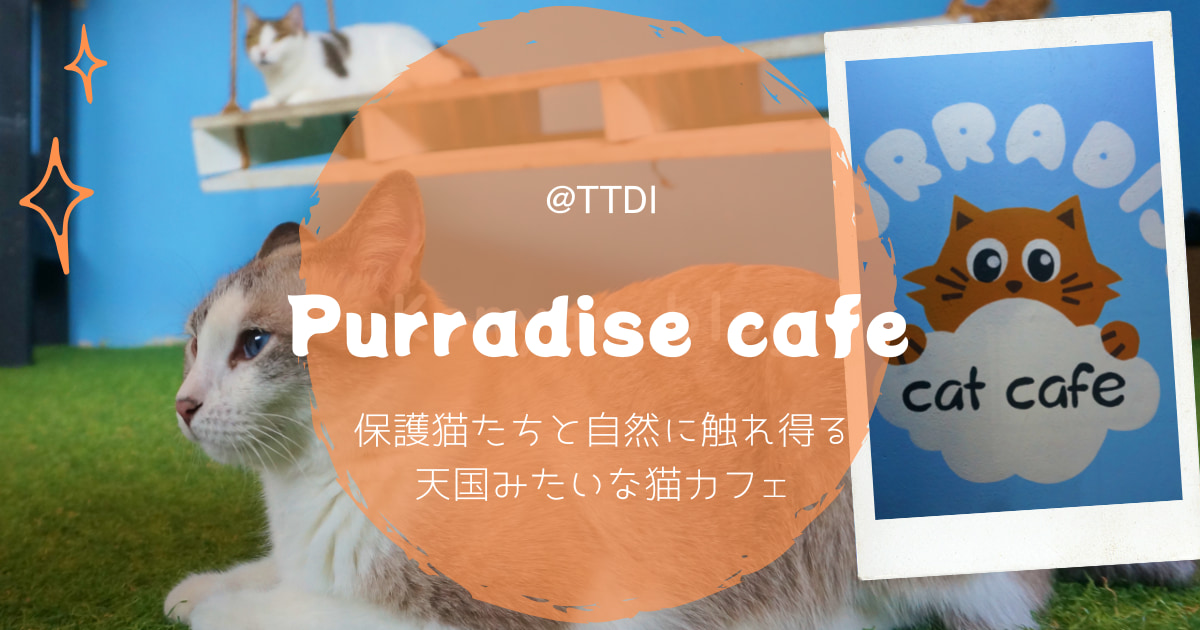 Purradise cafe マレーシア 猫カフェ TTDI