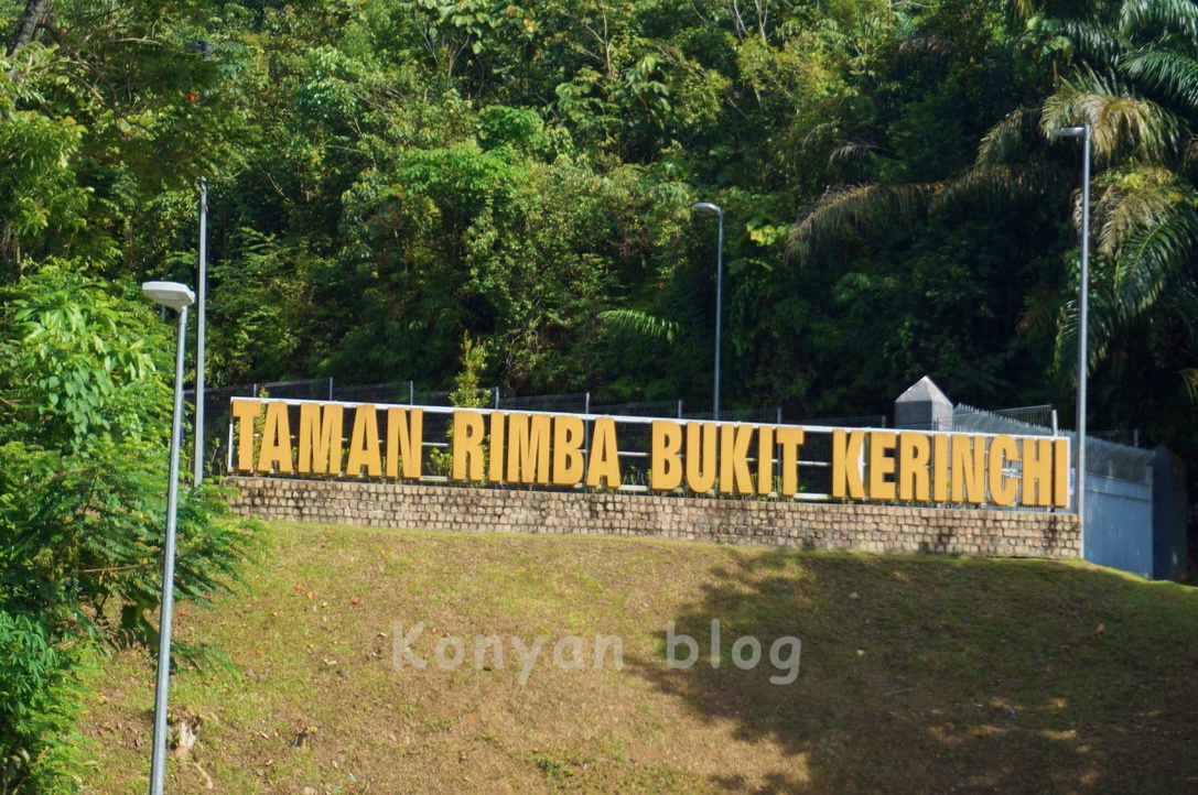 taman rimba bukit kerinchi 看板