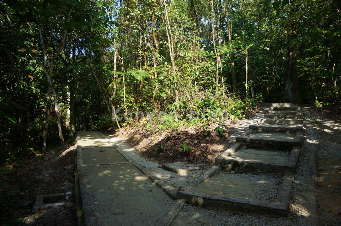 taman rimba bukit kerinchi