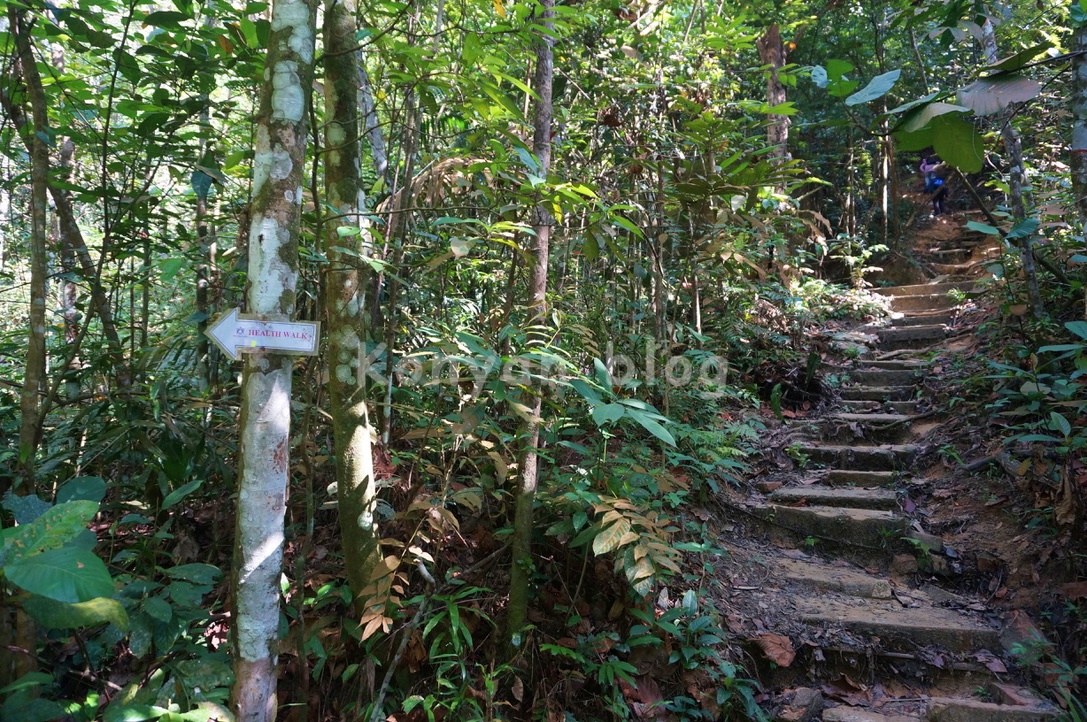 taman rimba bukit kerinchi