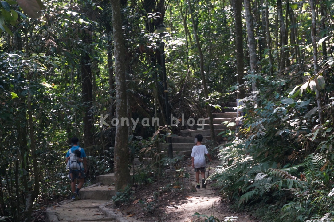 taman rimba bukit kerinchi