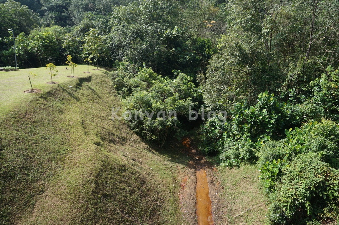 taman rimba bukit kerinchi bridge 吊り橋