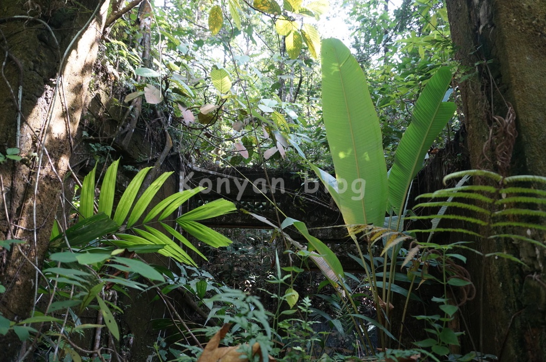 taman rimba bukit kerinchi 建物跡