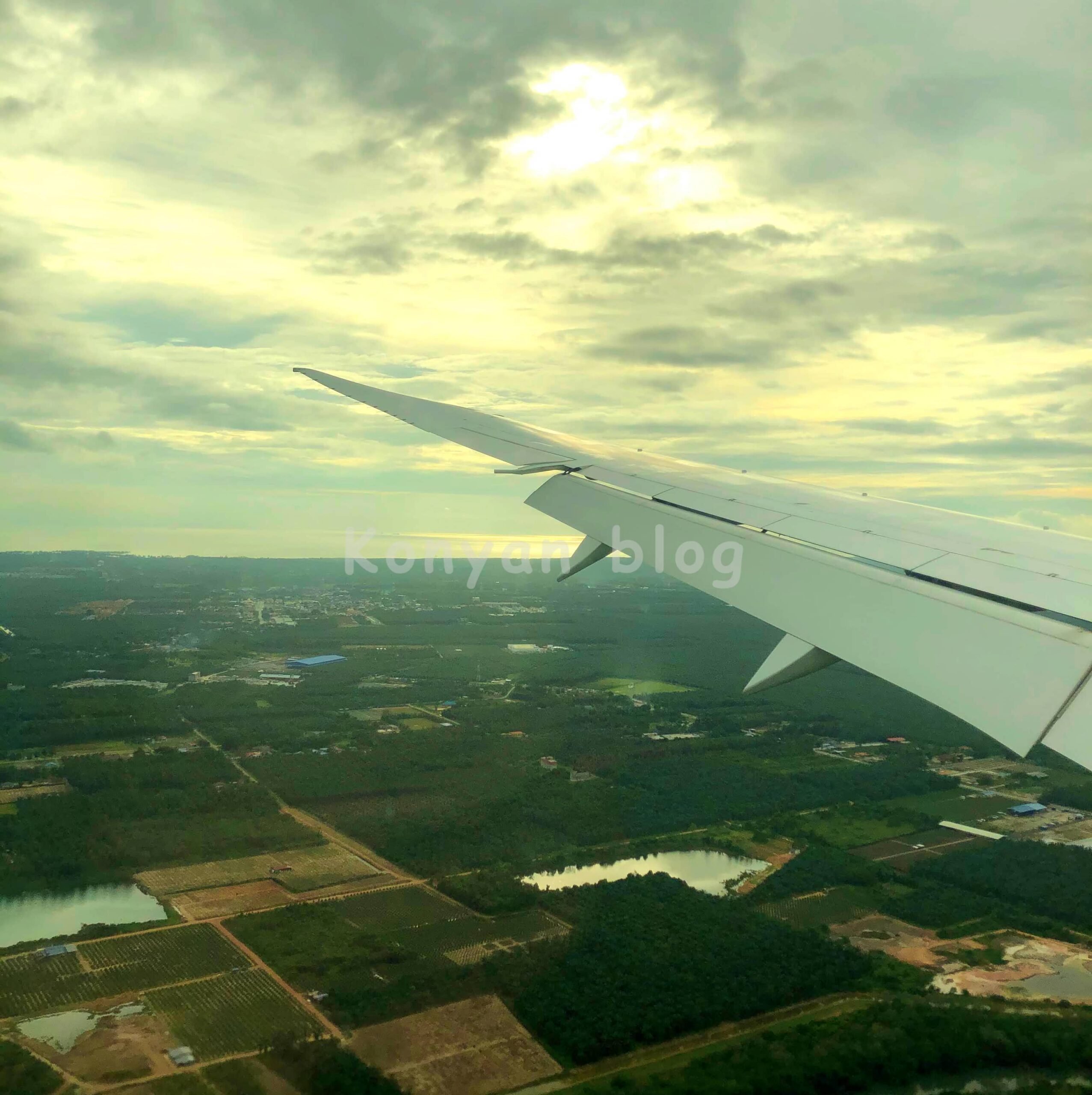 成田空港 JAL