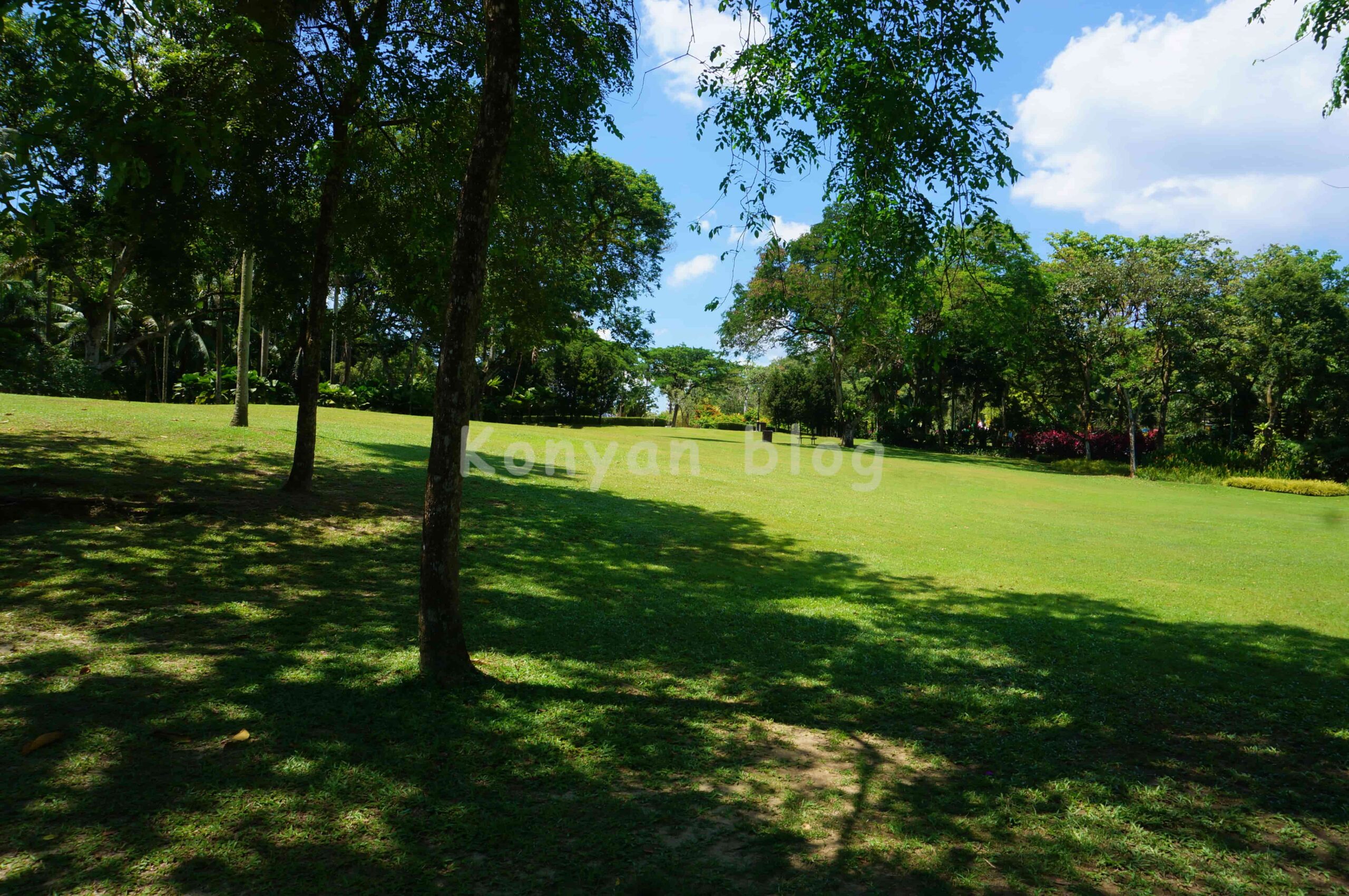 Perdana植物園 芝生