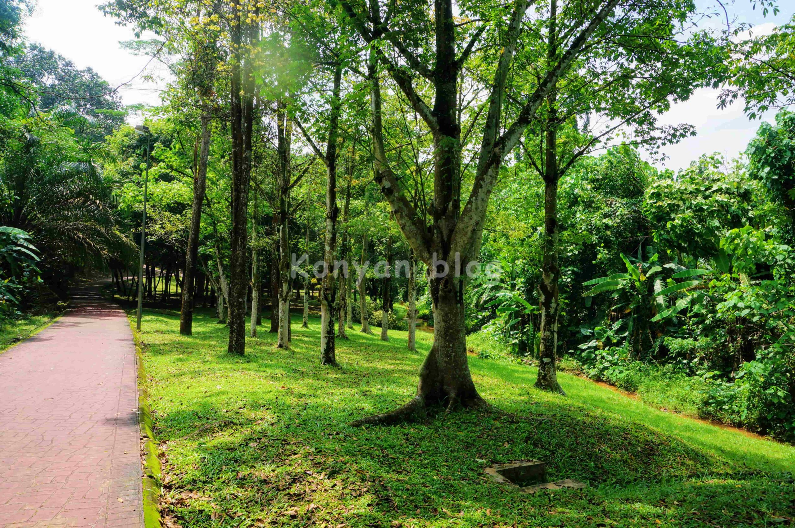 Taman Tasik Permaisuri 公園