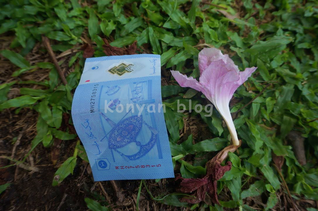 Tecoma tree petal