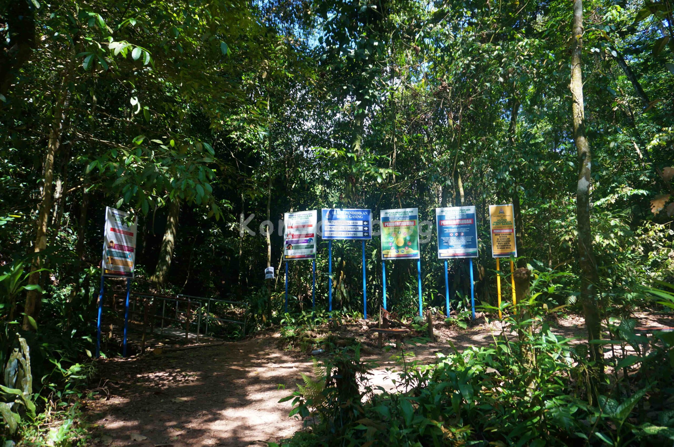 Hutan Pendidikan Bukit Gasing