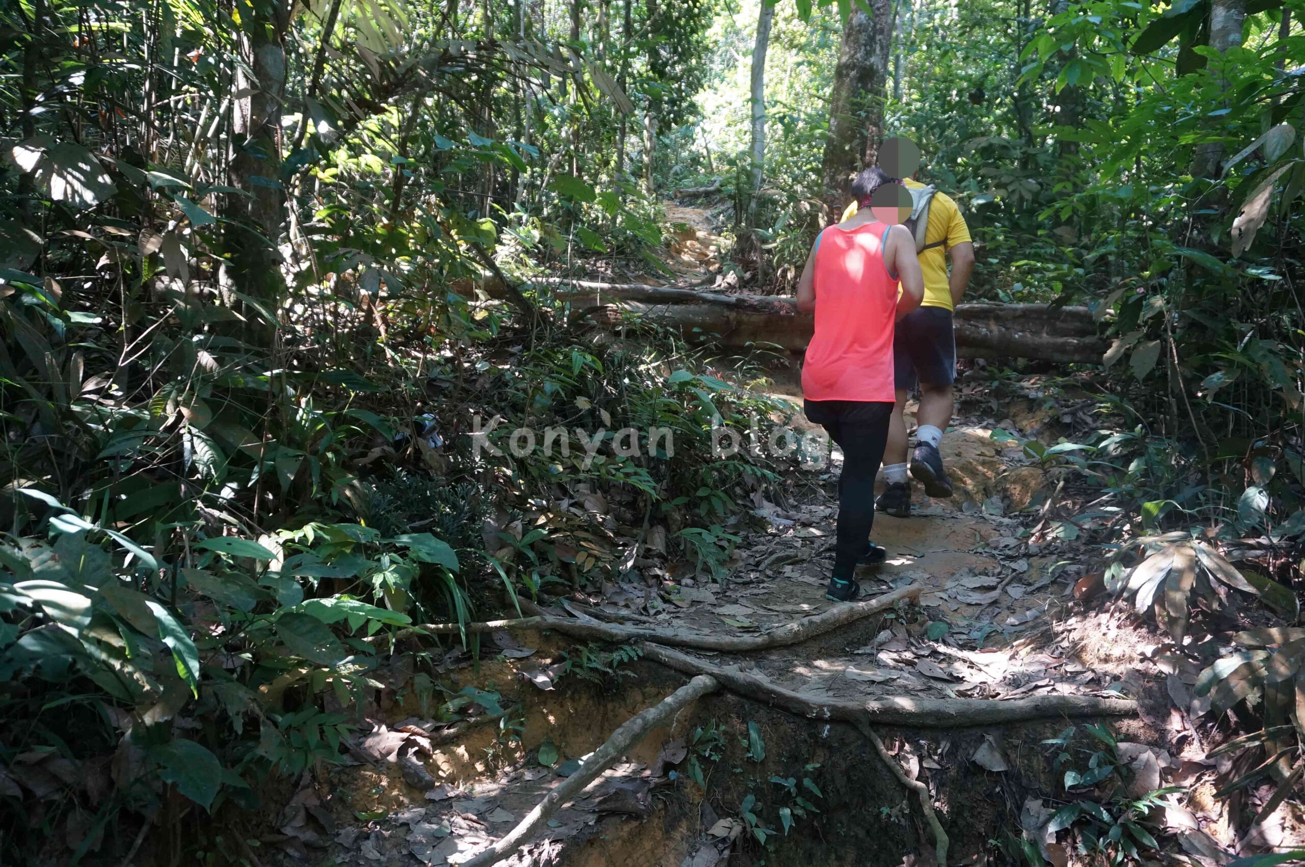 Hutan Pendidikan Bukit Gasing