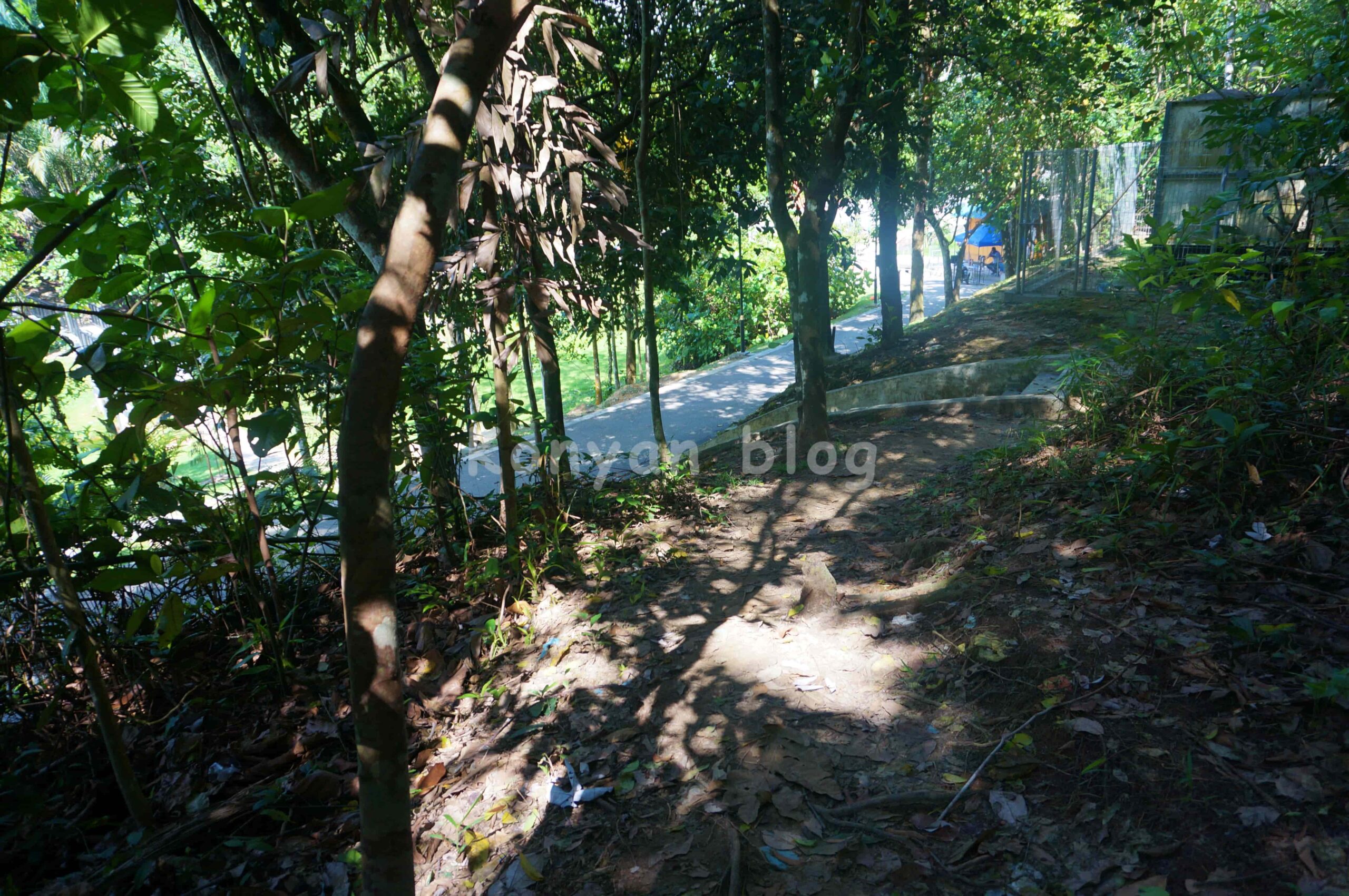 Hutan Pendidikan Bukit Gasing