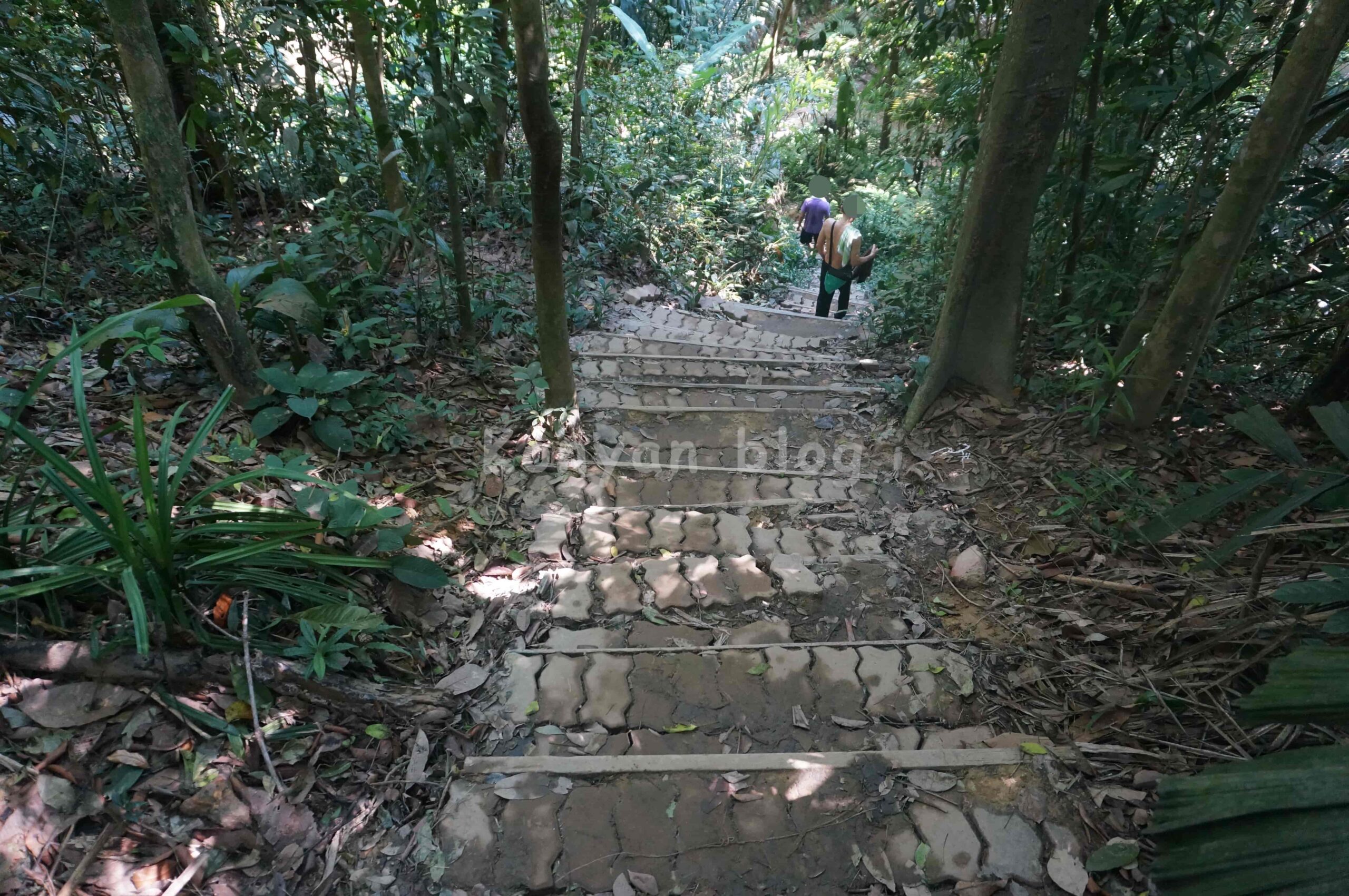 Hutan Pendidikan Bukit Gasing