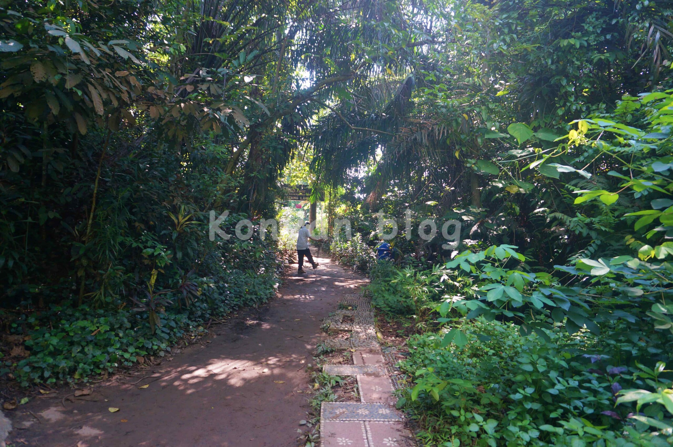 Hutan Pendidikan Bukit Gasing