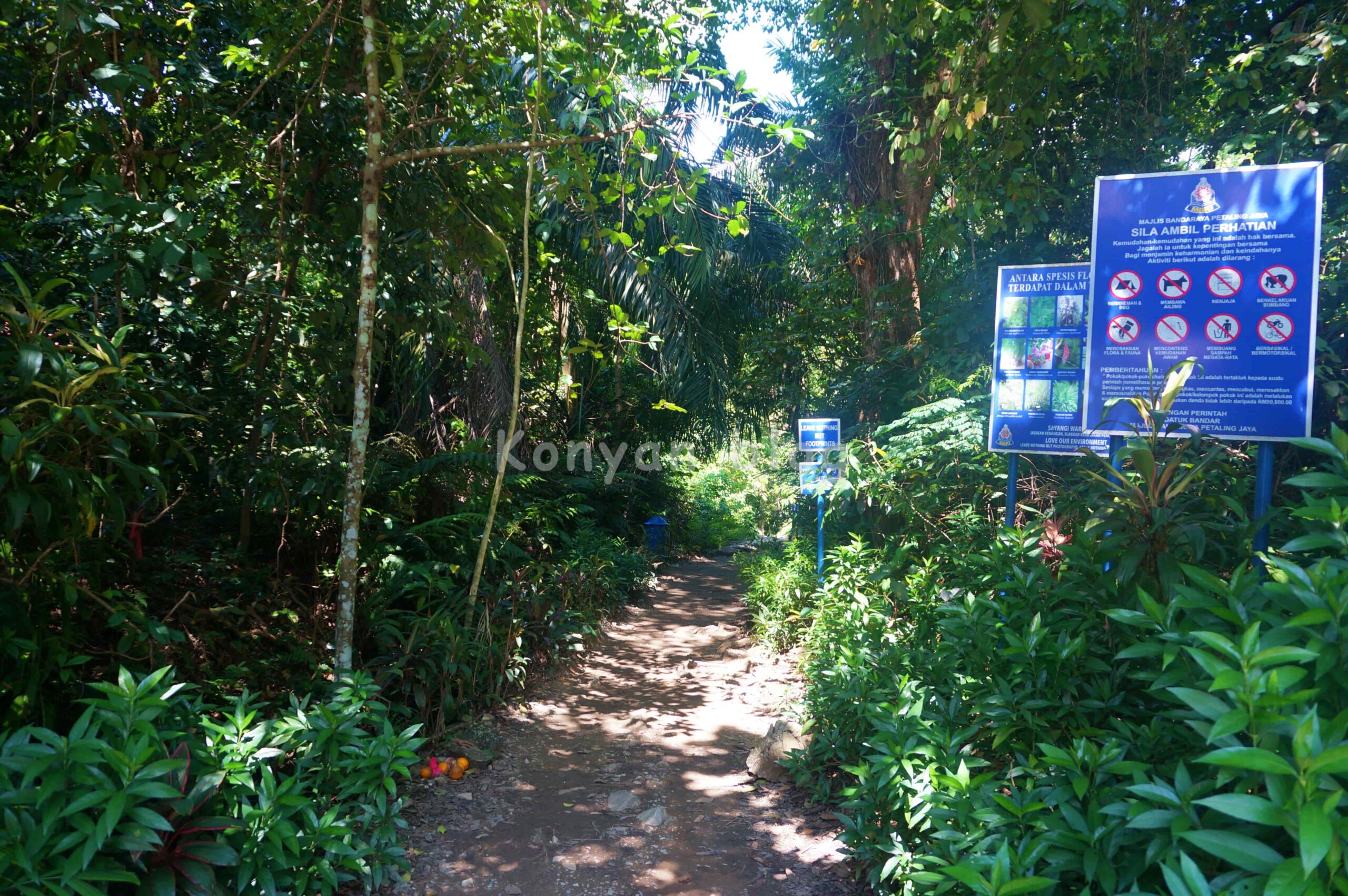 Hutan Pendidikan Bukit Gasing