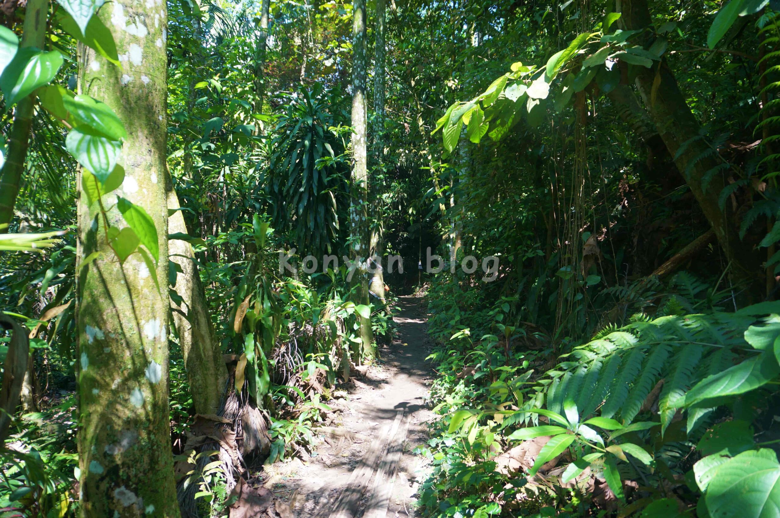 Hutan Pendidikan Bukit Gasing