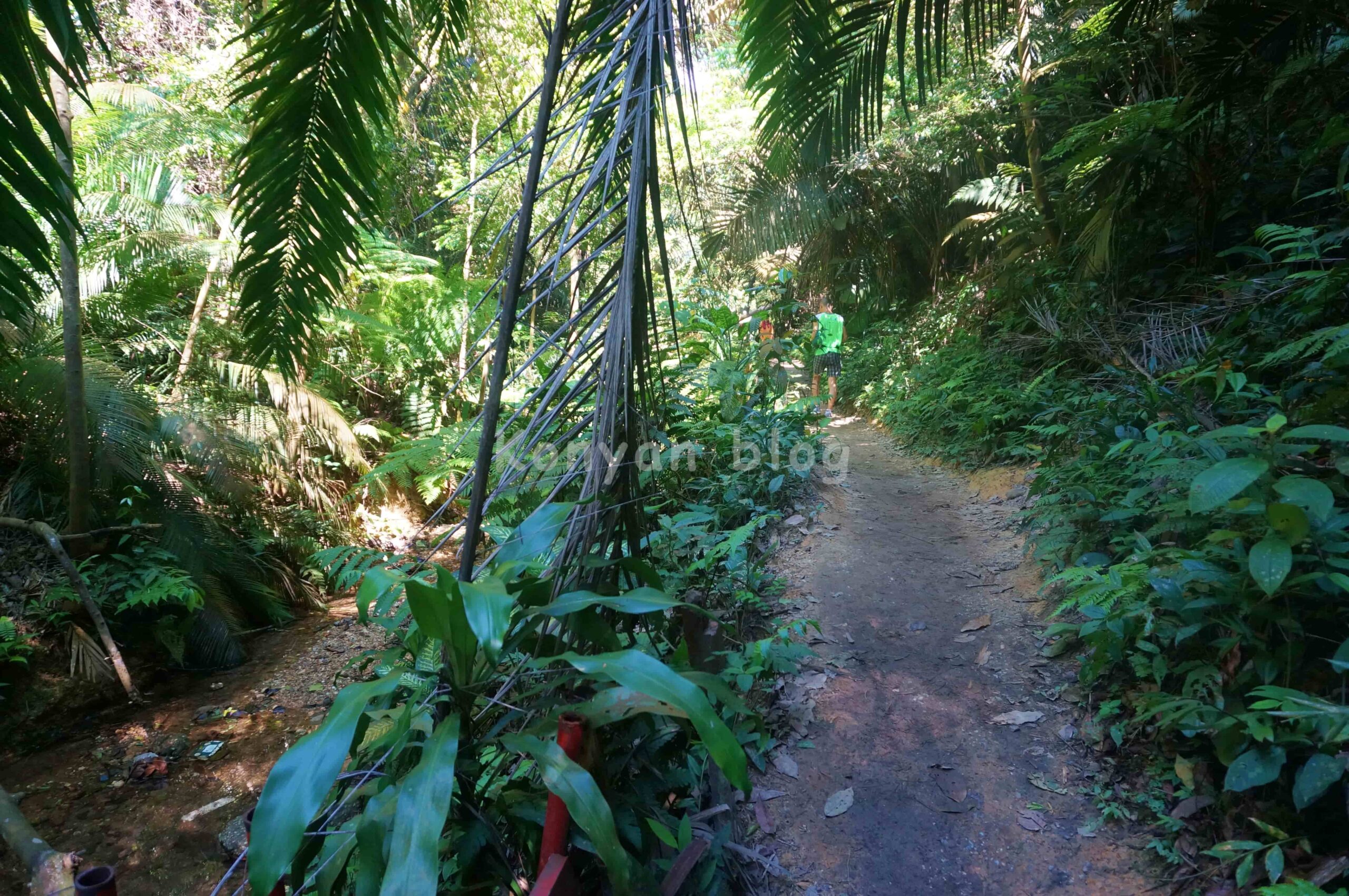 Hutan Pendidikan Bukit Gasing