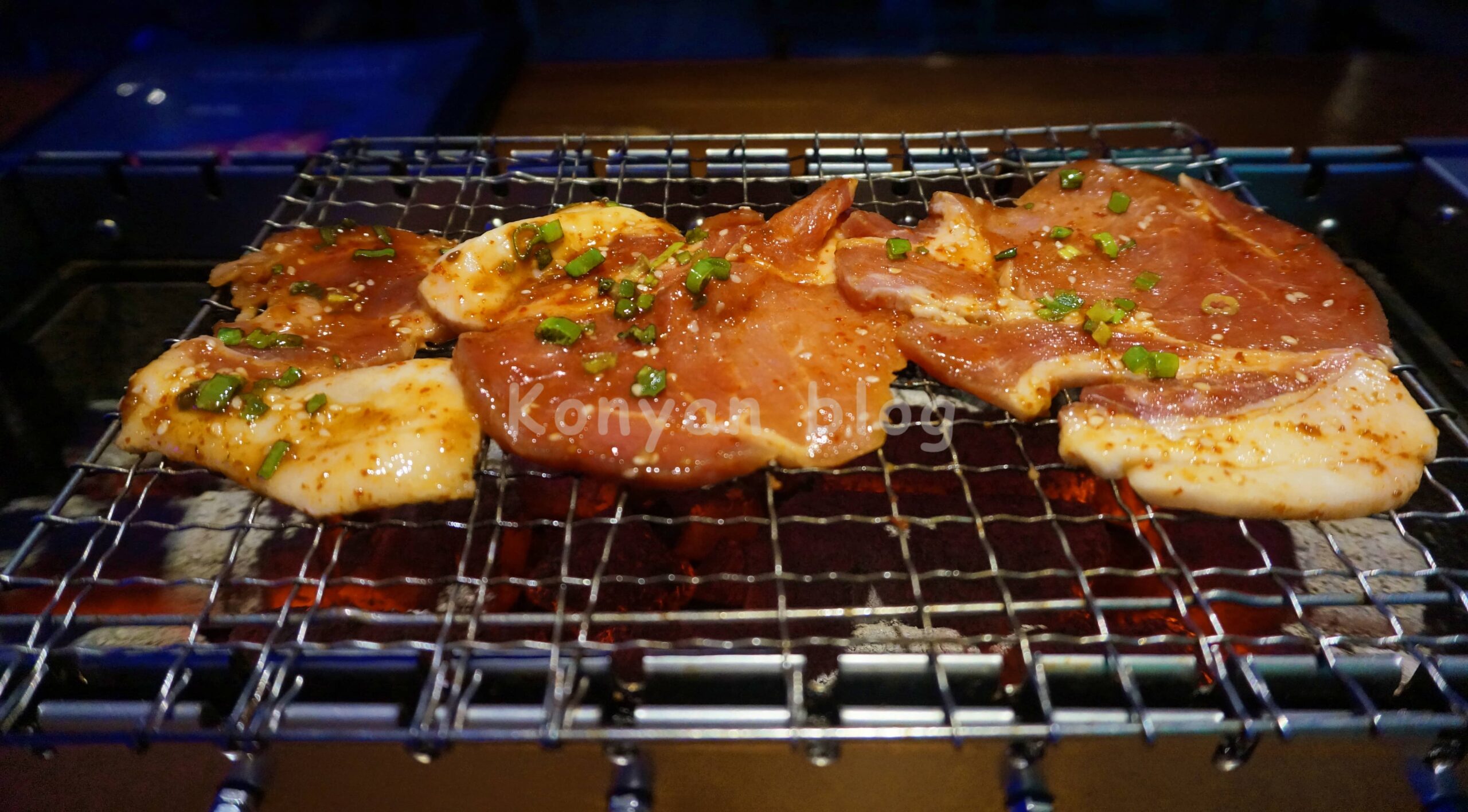 BBQ BAR 串越时光 PJ SS2　豚肉