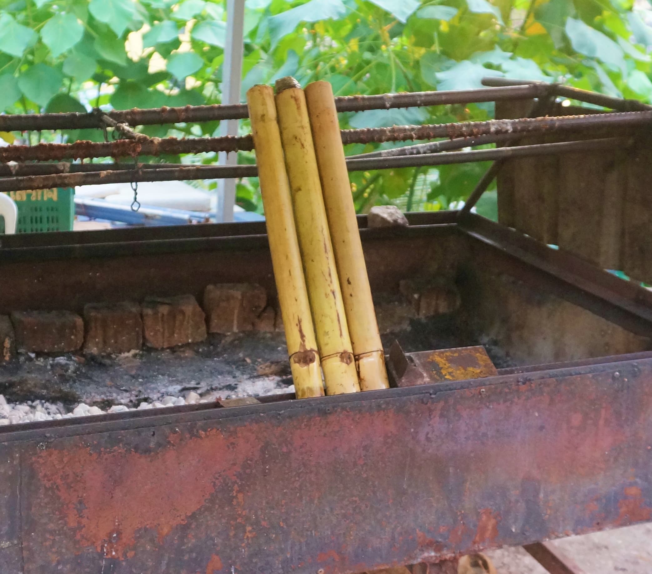 Lemang Tok Janggut