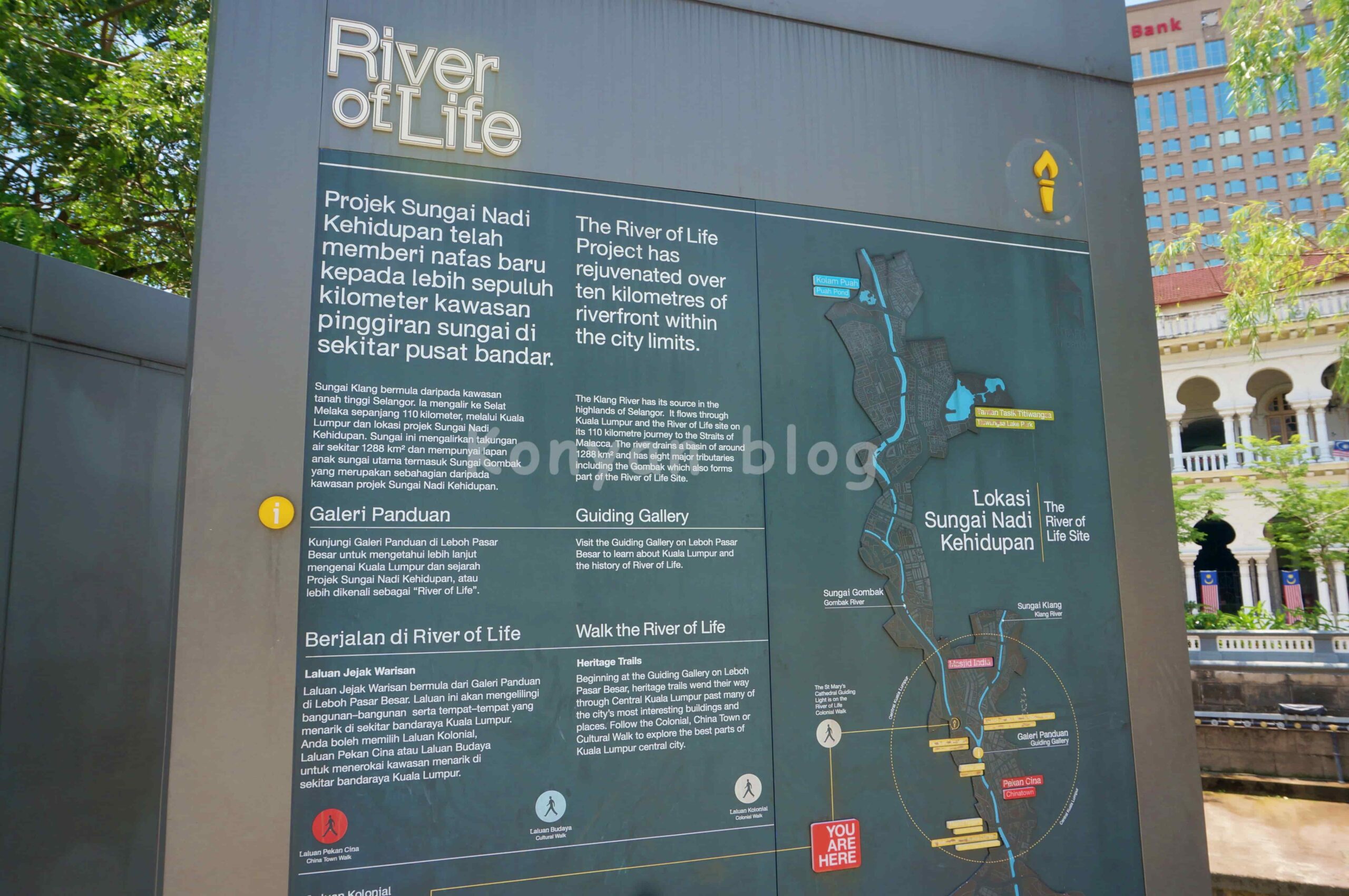 river of life