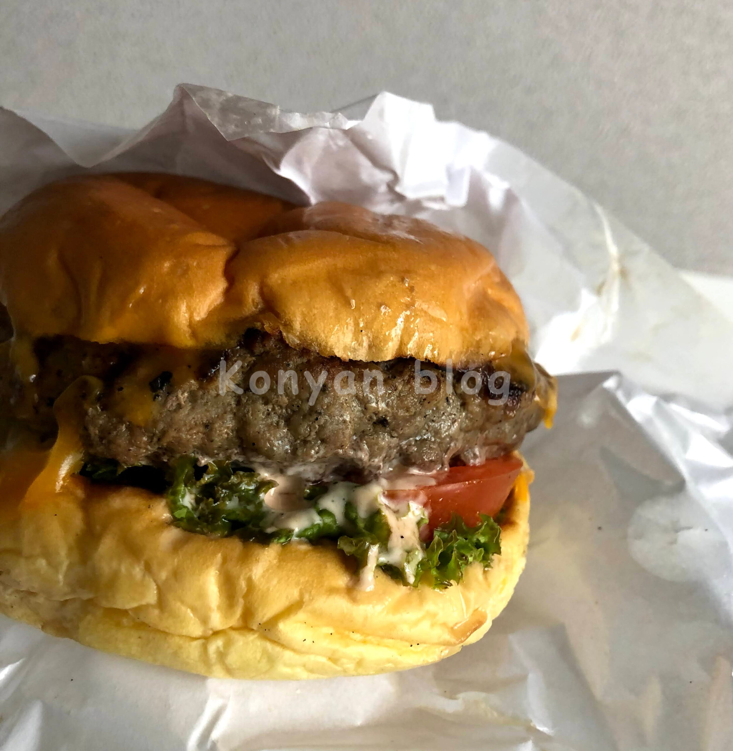 burger on 16 hamburger