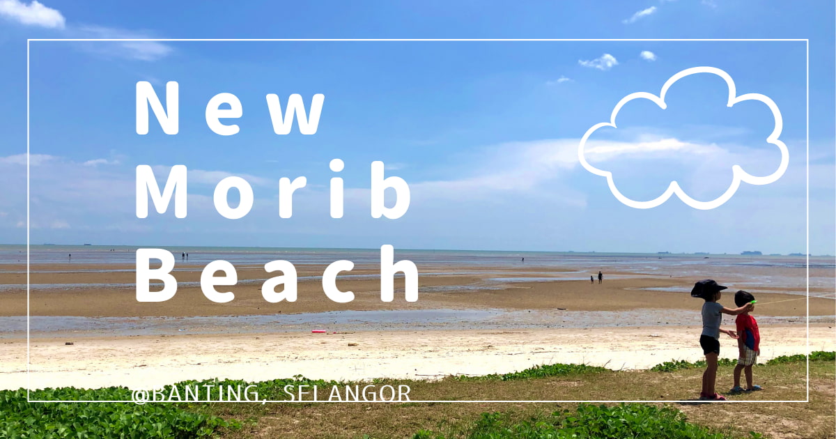 new morib beach pantai morib baharu 日帰り セランゴール　浜辺　海　マレーシア　車