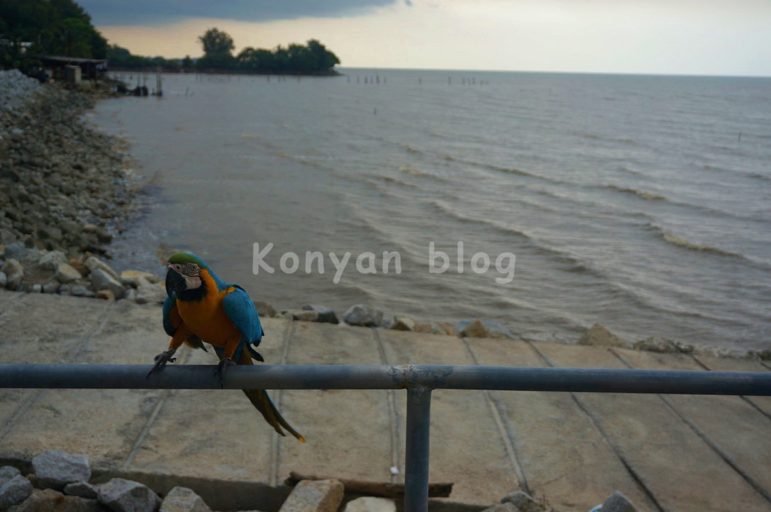 Lover's Bridge Tanjung Sepat