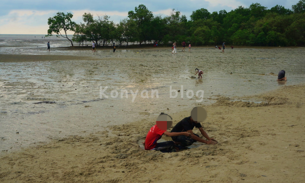 new morib beach pantai morib baharu