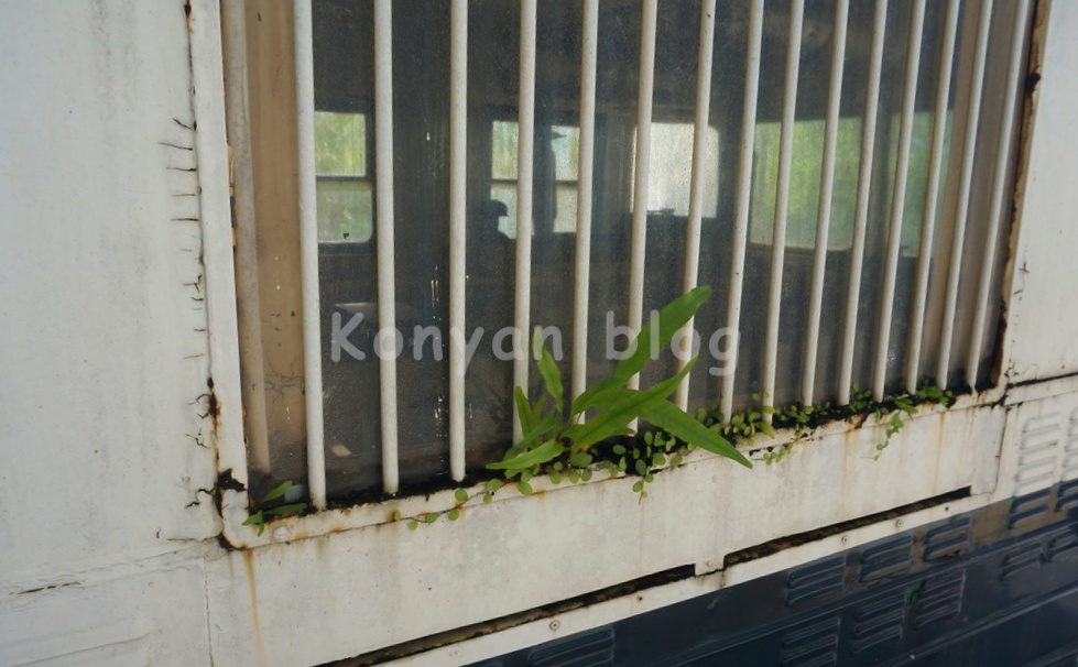 Tanjung Aru Railway Station north borneo 車窓 草