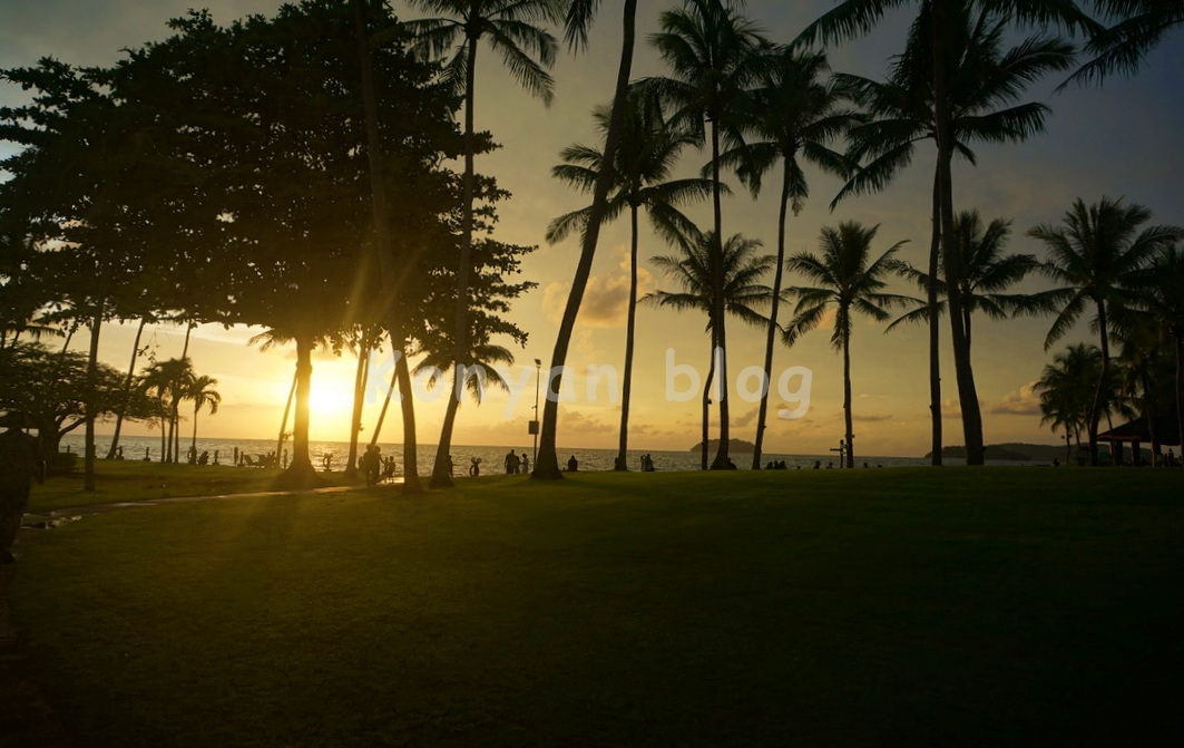 shangri la tanjung aru kota kinabaru sunset ヤシの木