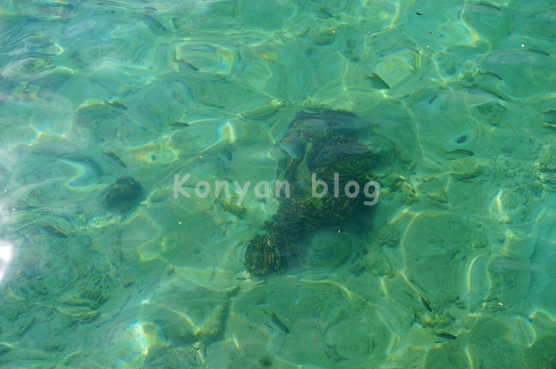 pulau manukan beach kota kinabalu sabah 海