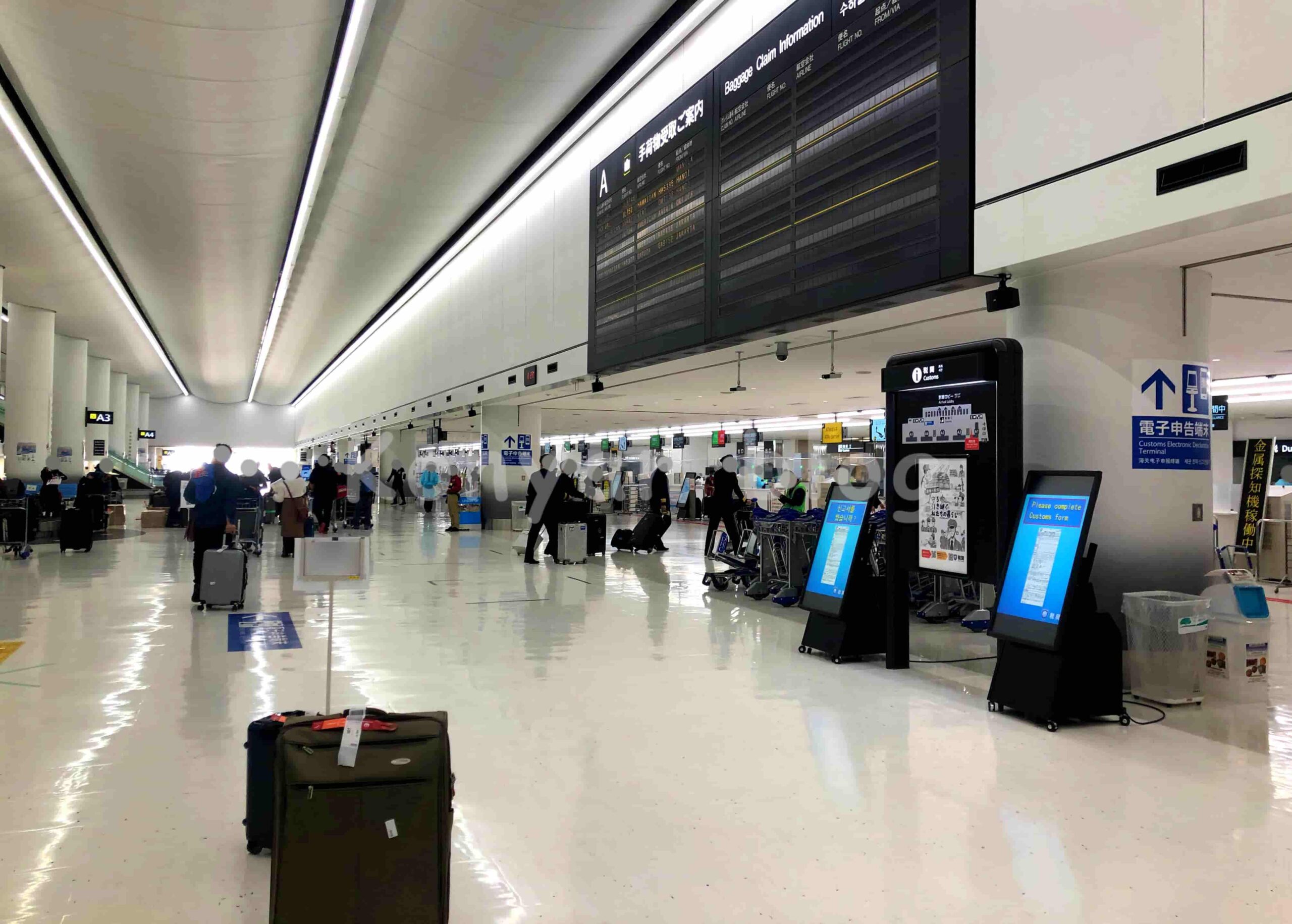 成田空港 入国 検疫