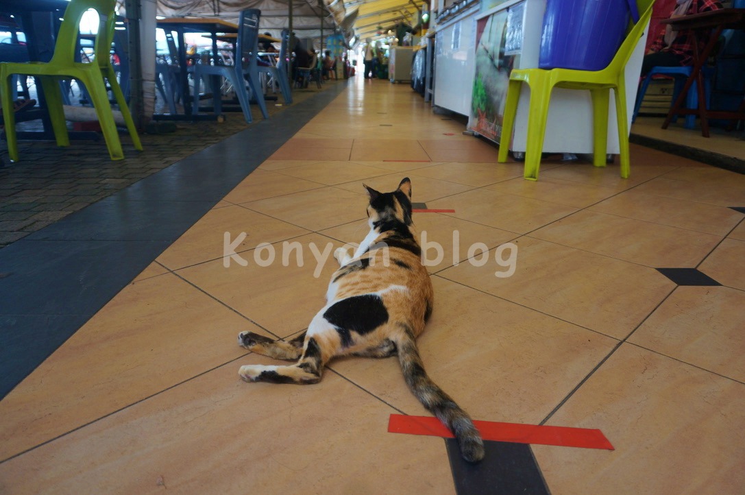 Jesselton Point Ferry Terminal Labuan Ferry 待合 レストラン 売店 猫