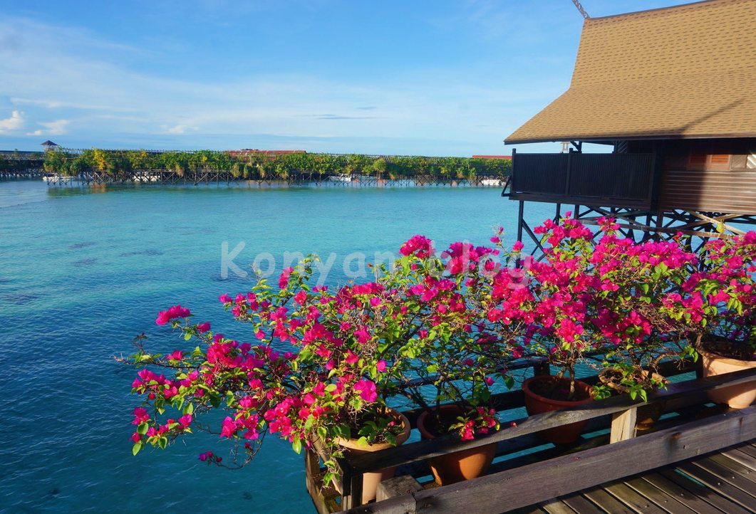 Sipadan Kapalai Dive Resort 歩道脇にある花