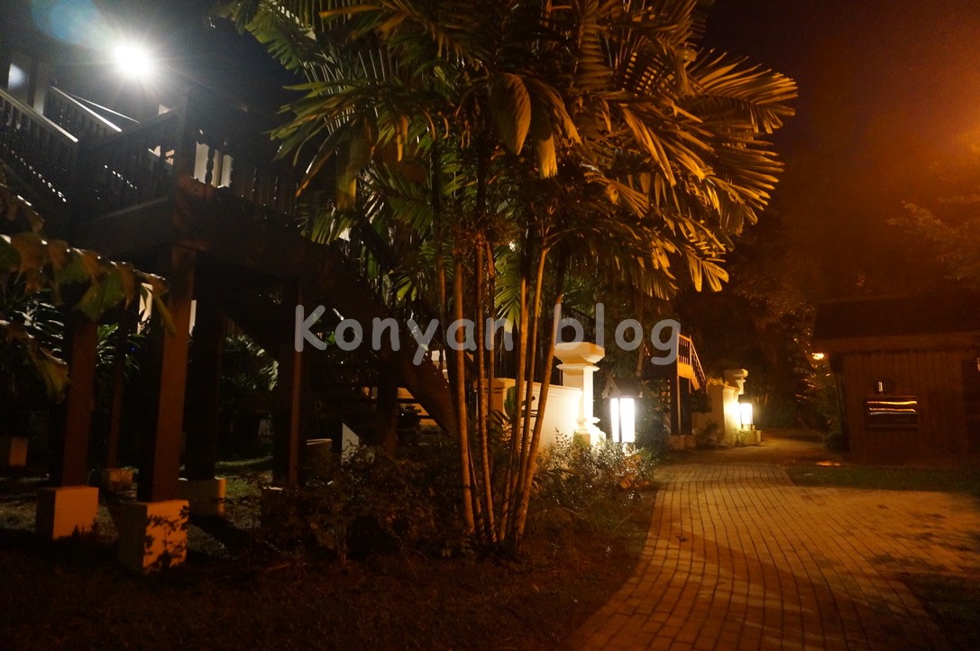 Tanjong Jara Resort 夜の道 敷地