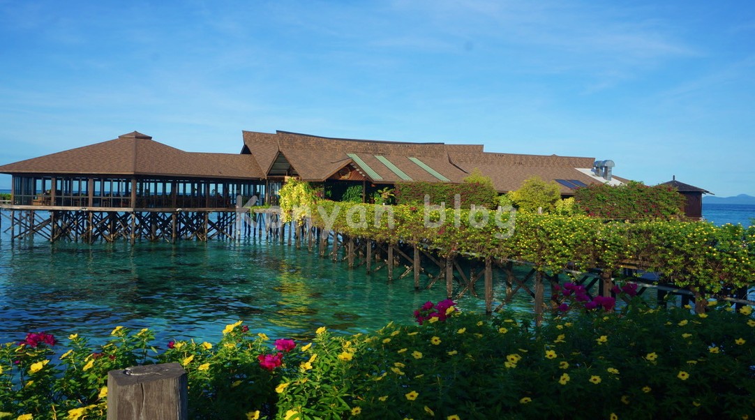 Sipadan Kapalai Dive Resort リゾートの風景 黄色い花