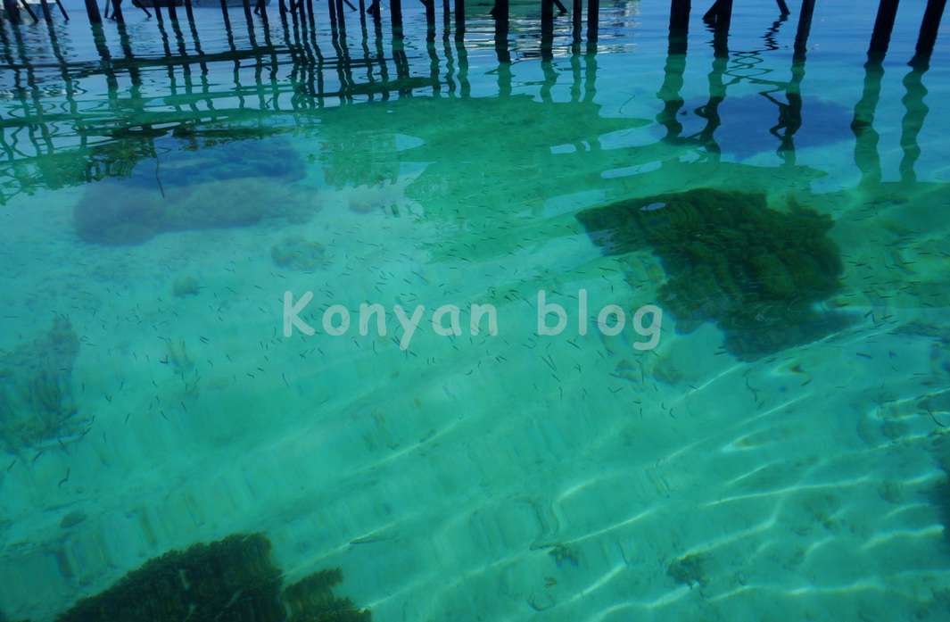 Sipadan Kapalai Dive Resort 透き通る海水