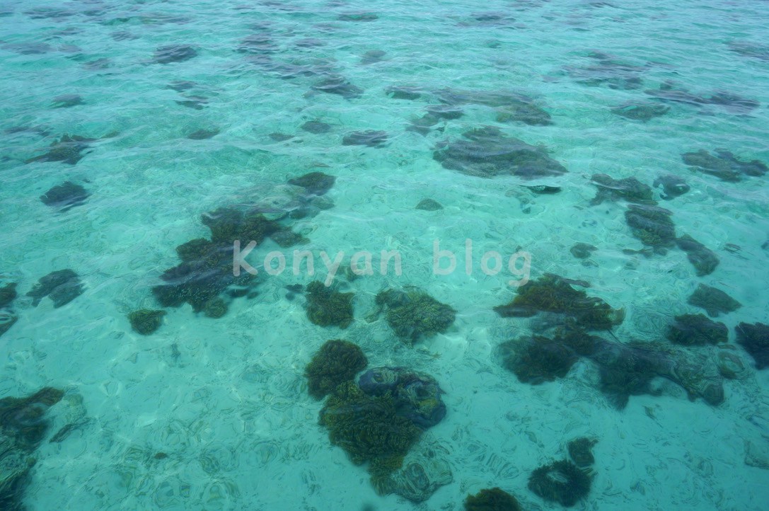 Sipadan Kapalai Dive Resort 海水
