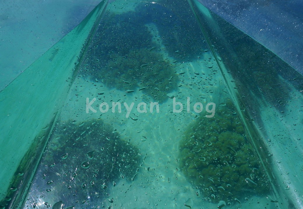 Sipadan Kapalai Dive Resort 透明なカヤック 海底