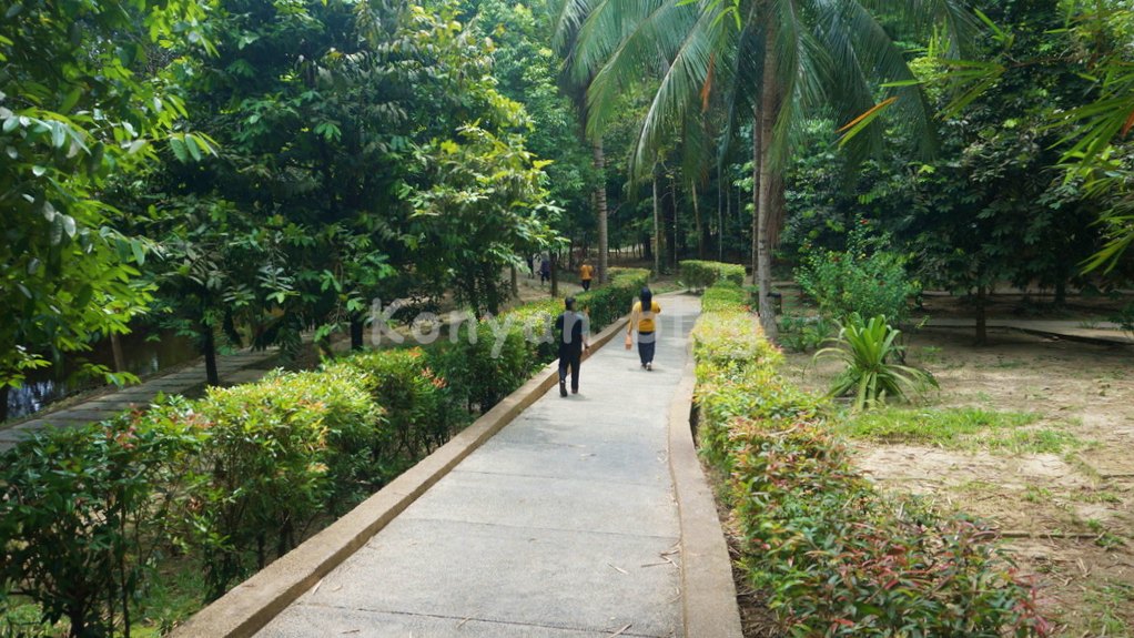 National Elephant Conservation Centre, Kuala Gandah ゾウ 園内