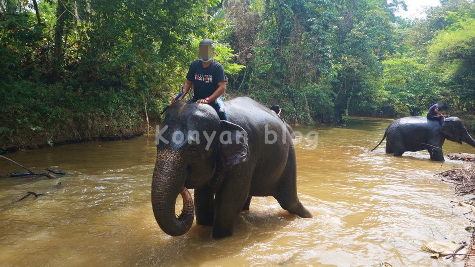 National Elephant Conservation Centre, Kuala Gandah ゾウに乗る男性