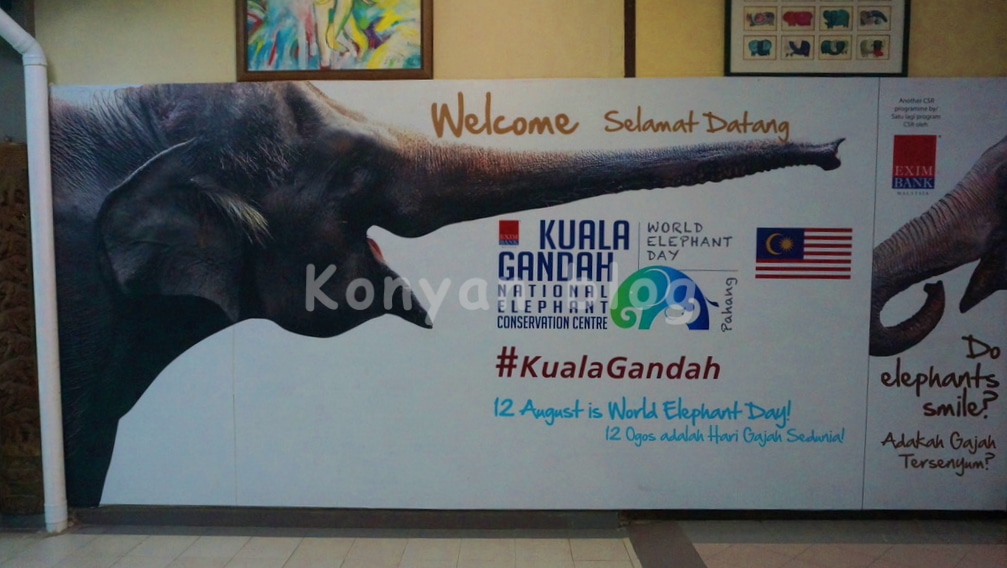 National Elephant Conservation Centre, Kuala Gandah ゾウ 保護センター
