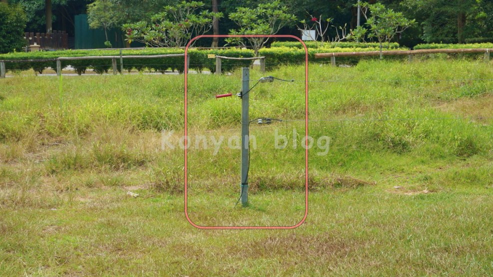 National Elephant Conservation Centre, Kuala Gandah 象　電流線　鉄柵 電気フェンス