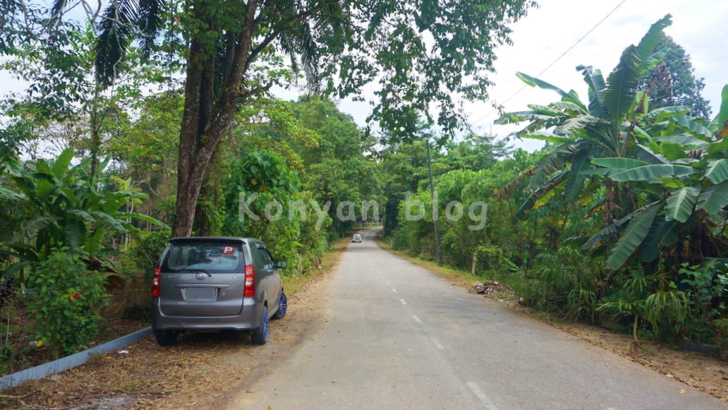 National Elephant Conservation Centre, Kuala Gandah pahang 森