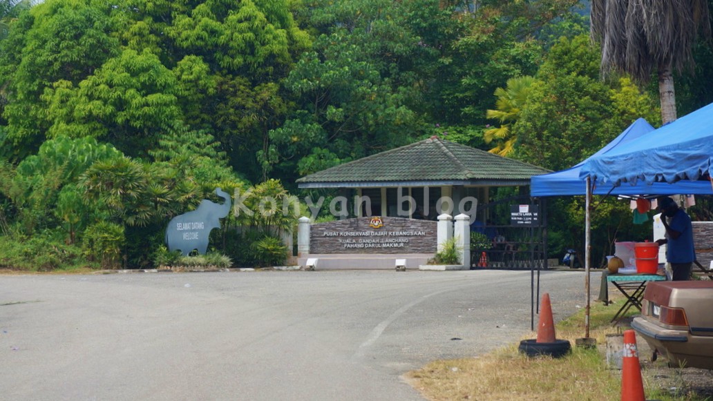 National Elephant Conservation Centre, Kuala Gandah 入り口　正面