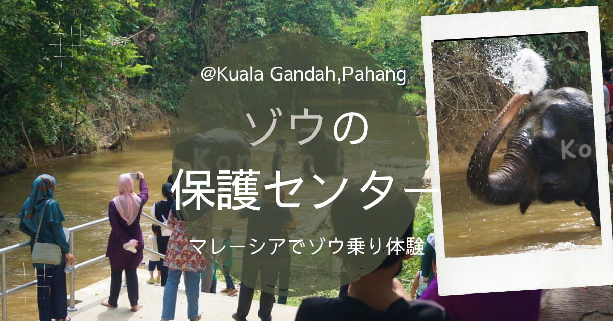 Kuala Gandah National Elephant Conservation Centre　ゾウ　象　マレーシア　パハン　Padang 象保護センター