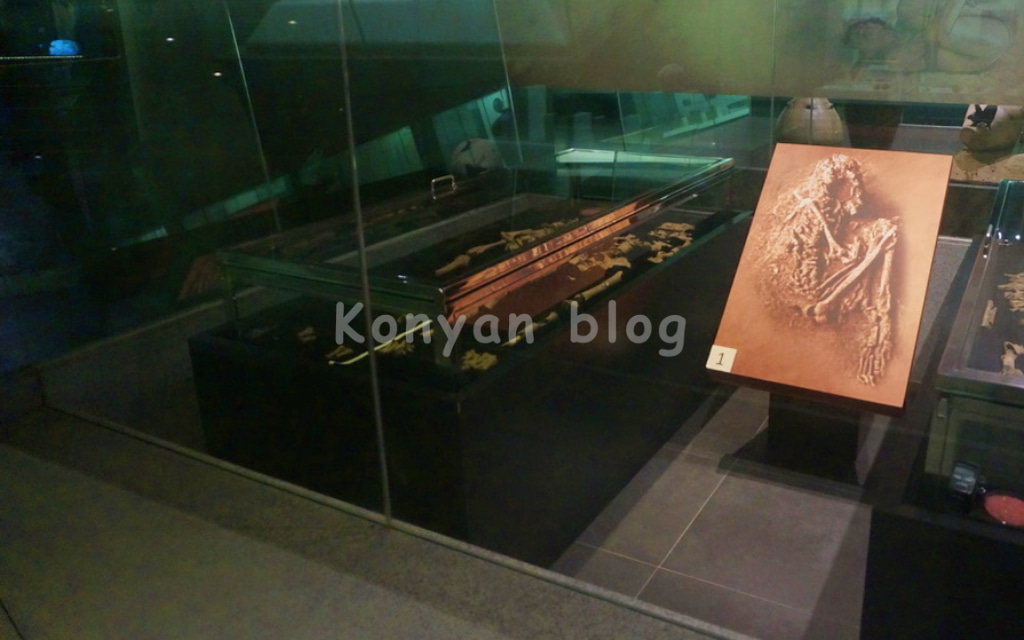 マレーシア国立博物館 Muzium Negara 骨 考古学